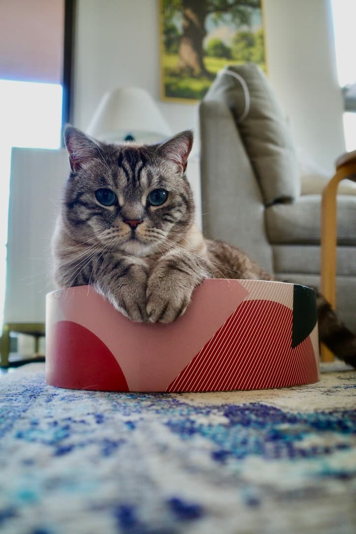Caught in the act.