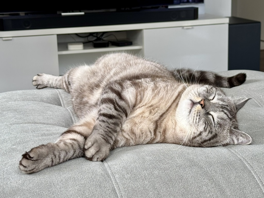 Lazy Sundays.