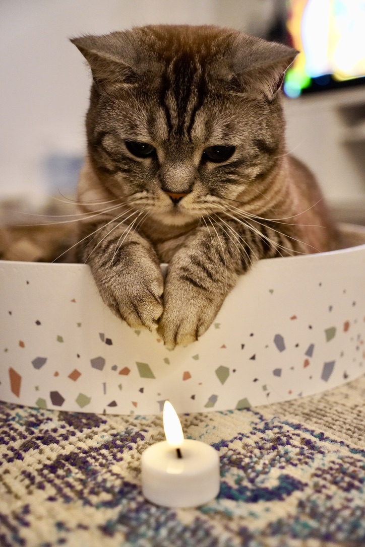 If I fits, I sits.