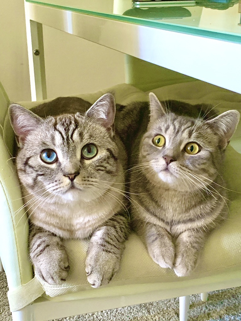 Double trouble.