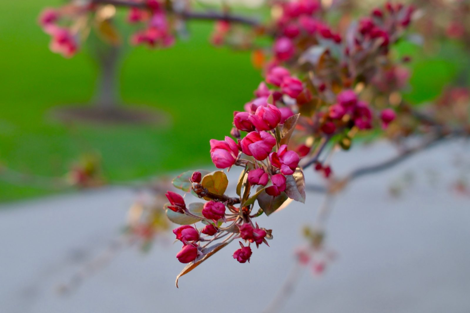 Spring awakening.
