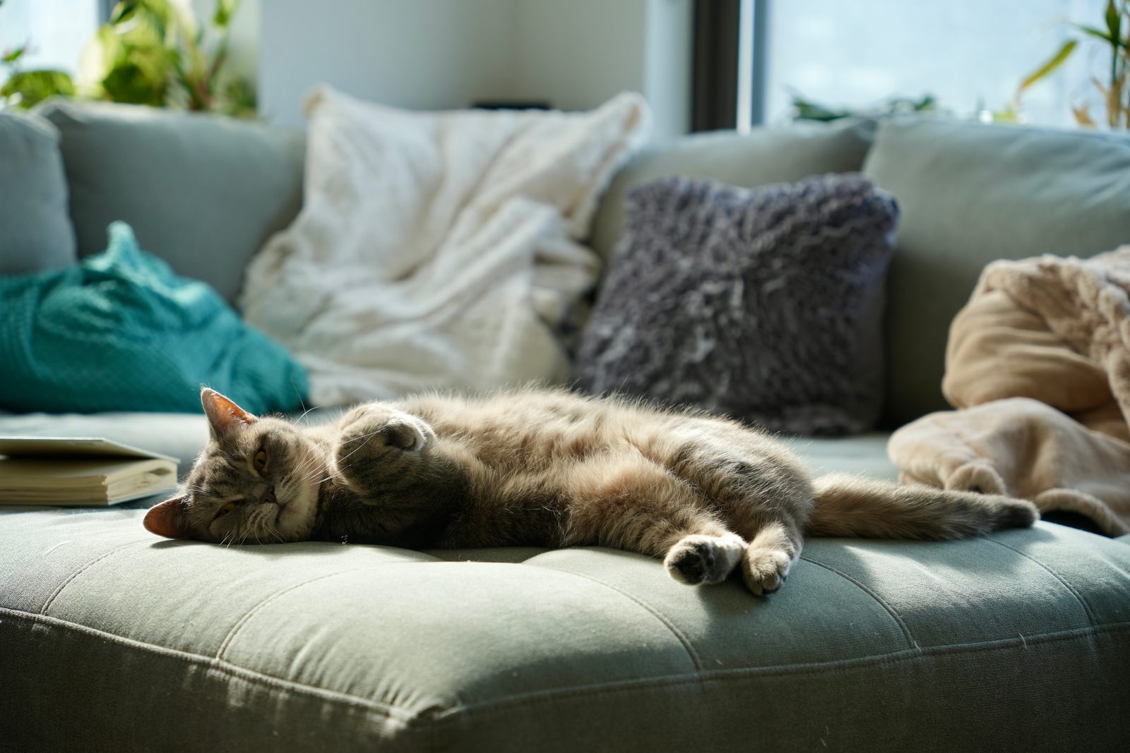 Sunlit stretch.