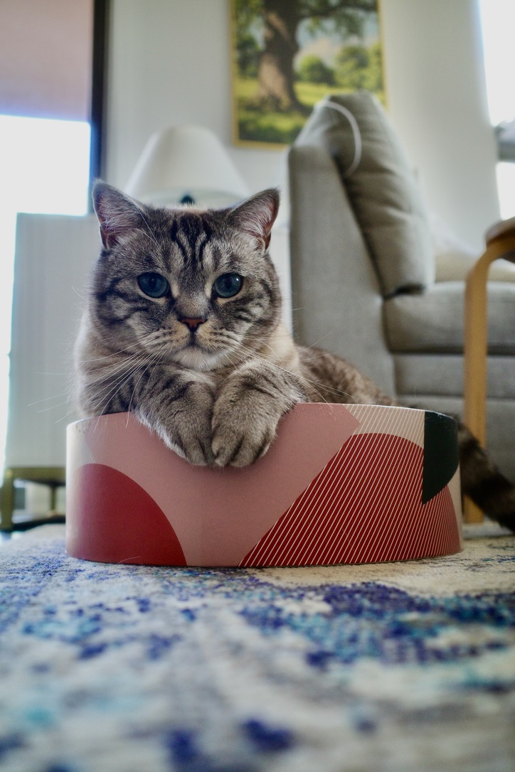 Caught in the act.