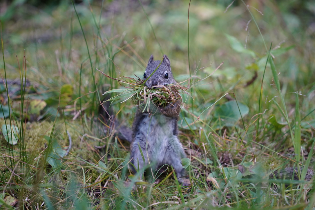 Pause for a snack.