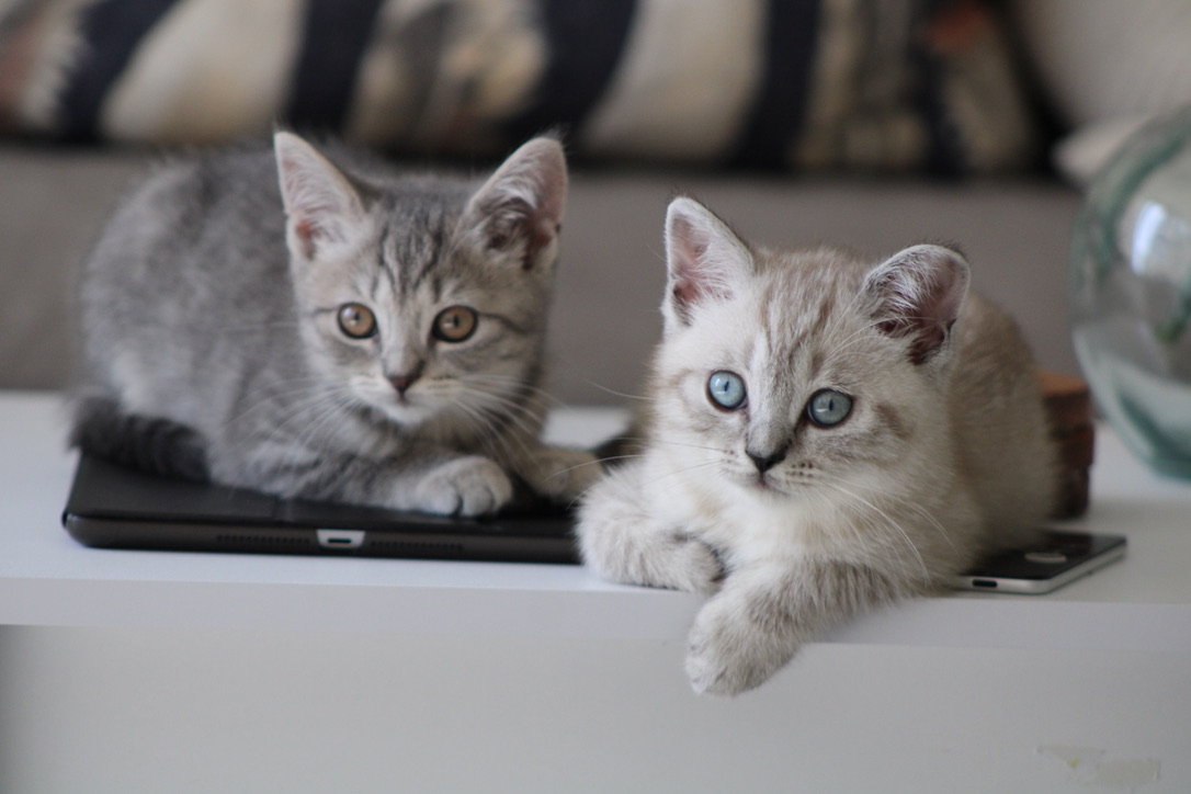 Siblings side by side.